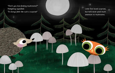 Little Owl's Love US - Hardback
