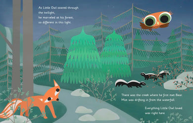 Little Owl's Love US - Hardback