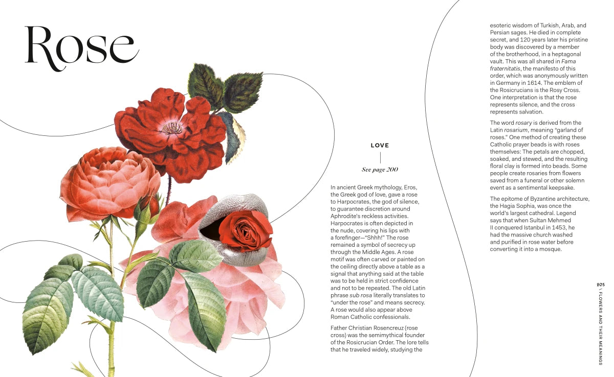 Flowers and Their Meanings US - Hardback