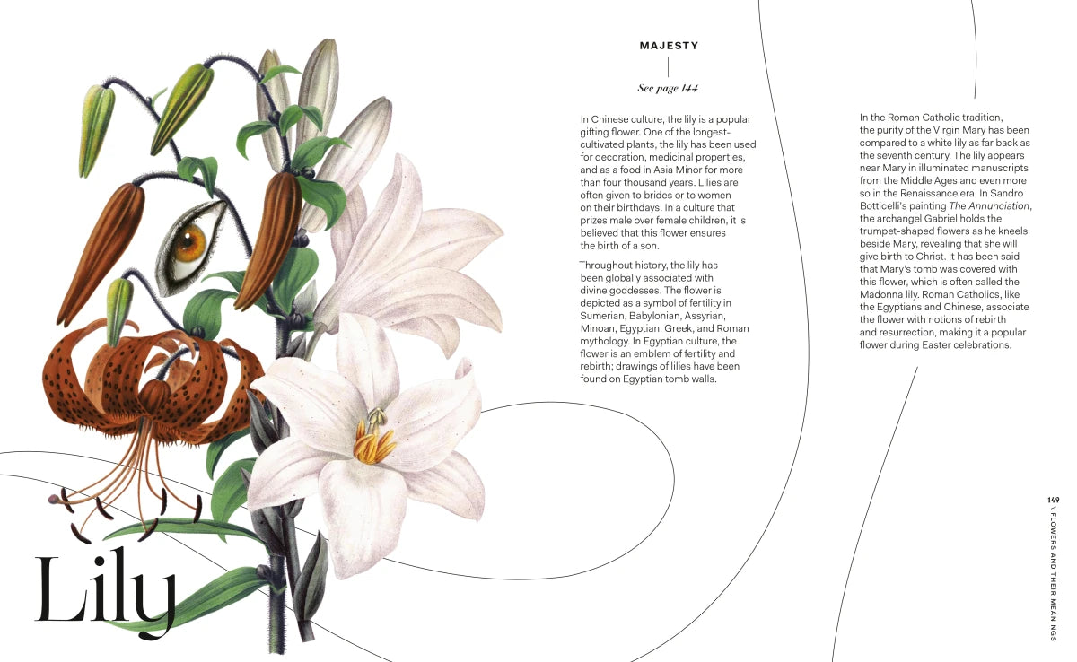 Flowers and Their Meanings US - Hardback