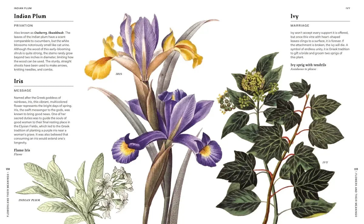 Flowers and Their Meanings US - Hardback