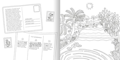 Road Trip! Coloring Book US - Paperback / softback