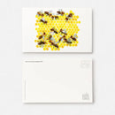 Eric Carle's Box of Wonders US - Cards