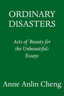 Ordinary Disasters