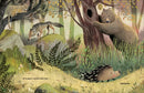 Penny Lu Porcupine US - Hardback