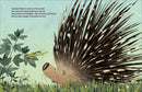 Penny Lu Porcupine US - Hardback