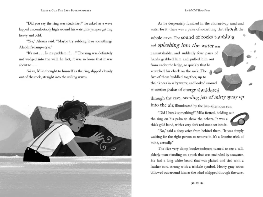 Pages & Co.: The Last Bookwanderer US - Hardback