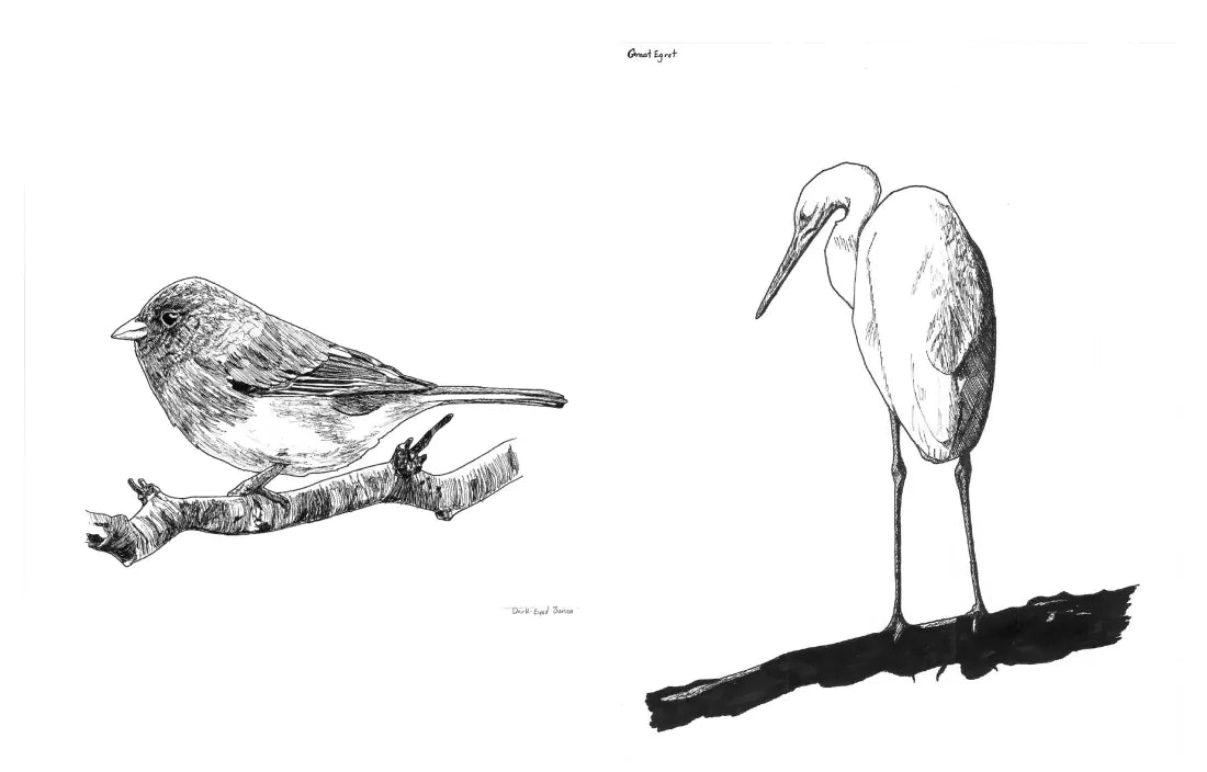 Slow Birding US - Hardback