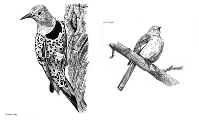 Slow Birding US - Hardback