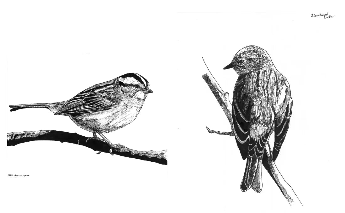 Slow Birding US - Hardback