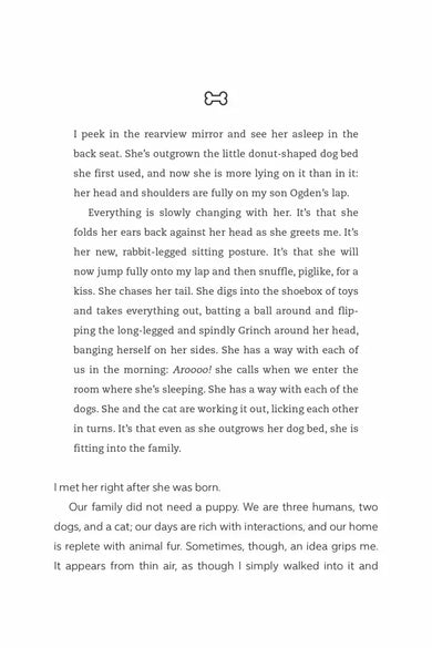 The Year of the Puppy US - Hardback