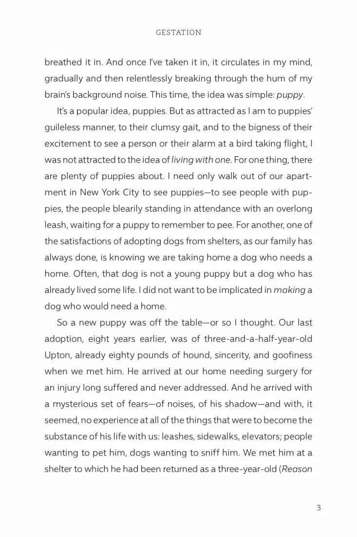 The Year of the Puppy US - Hardback