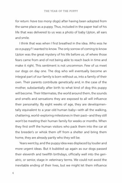 The Year of the Puppy US - Hardback