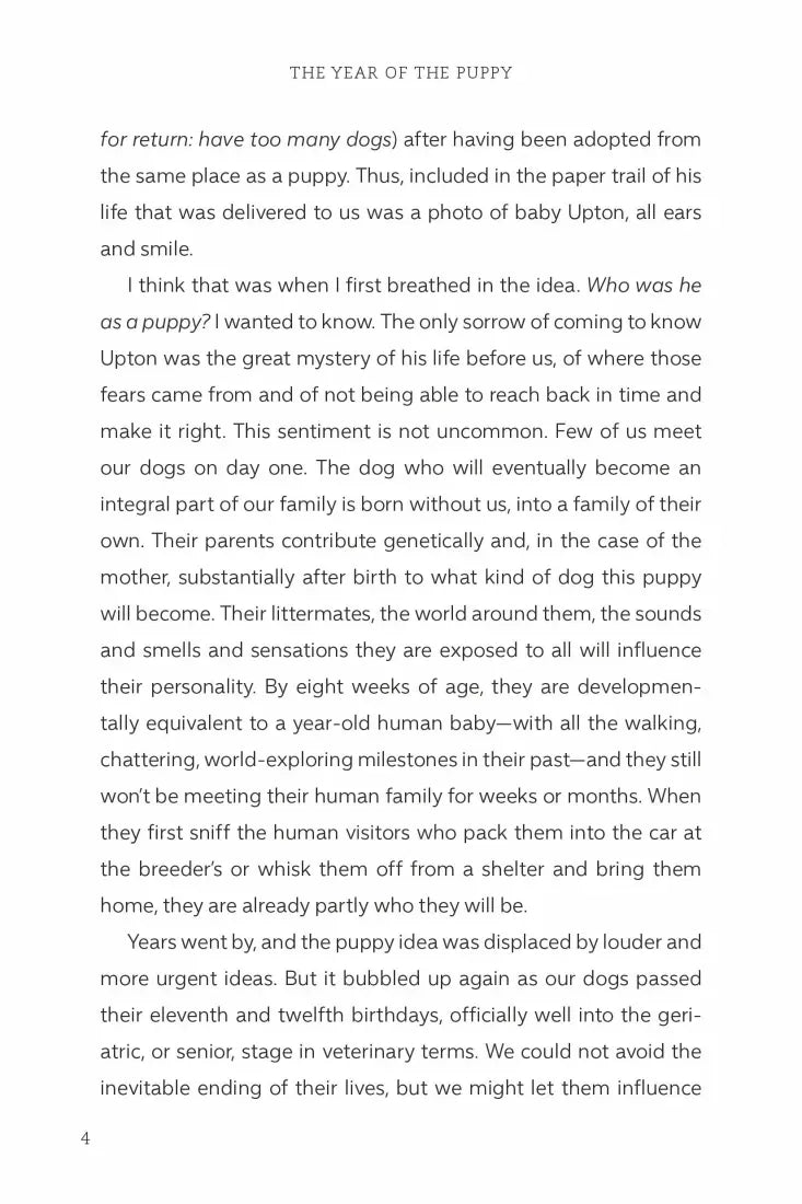 The Year of the Puppy US - Hardback