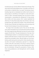 The Year of the Puppy US - Hardback