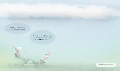 Partly Cloudy US - Hardback