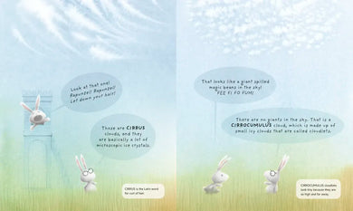 Partly Cloudy US - Hardback