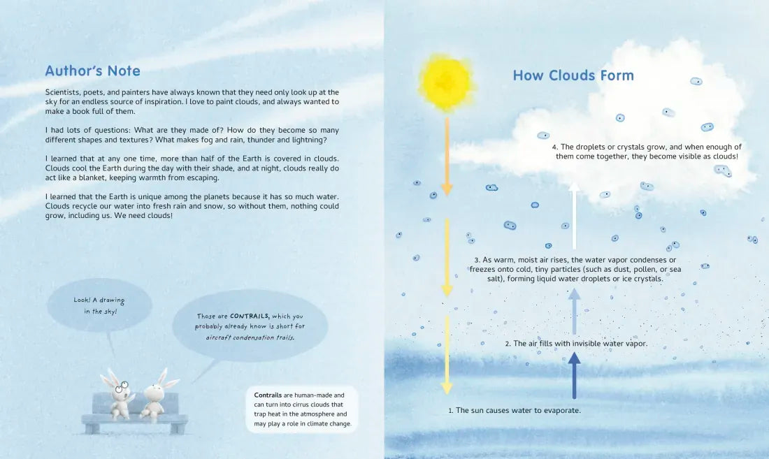 Partly Cloudy US - Hardback