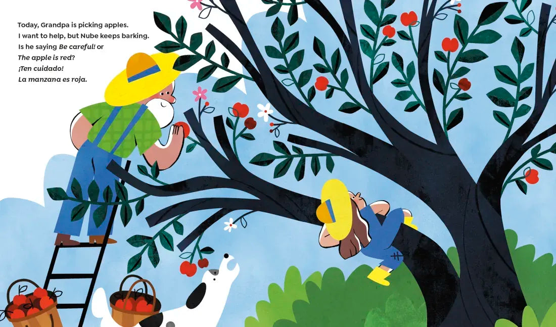 Wonder in the Garden US - Hardback