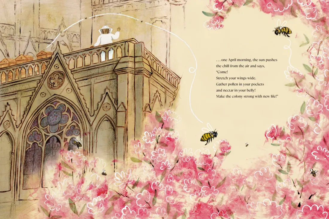 The Bees of Notre-Dame US - Hardback (9780593374573)