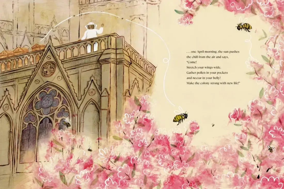 The Bees of Notre-Dame US - Hardback (9780593374566)