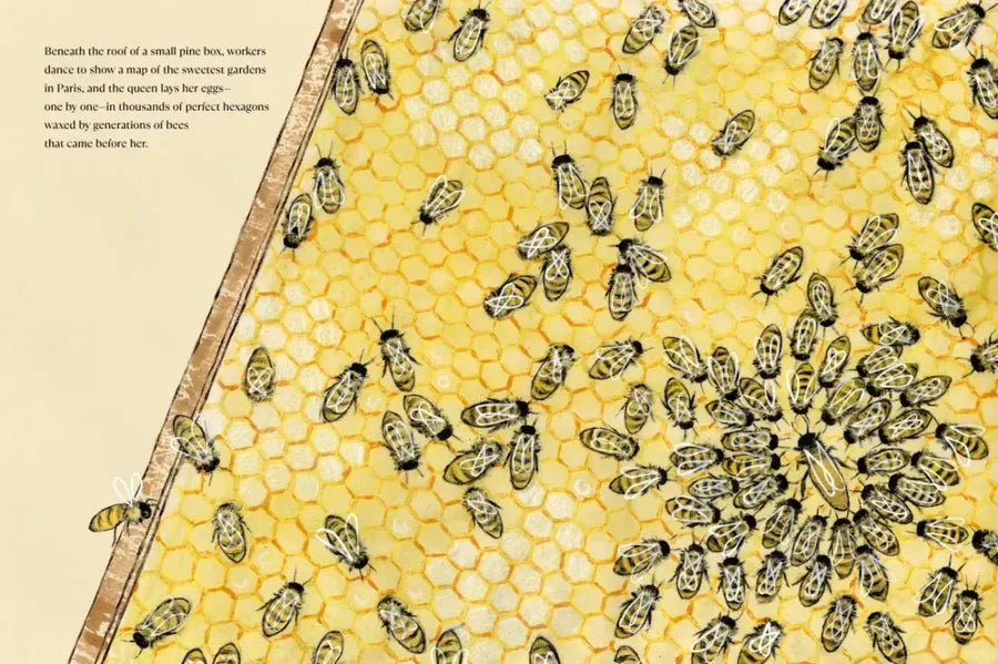 The Bees of Notre-Dame US - Hardback (9780593374566)