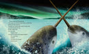 Narwhal US - Hardback (9780593377789)