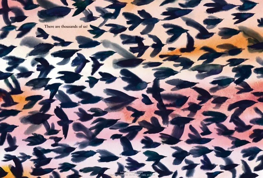 We Are Starlings US - Hardback (9780593381632)