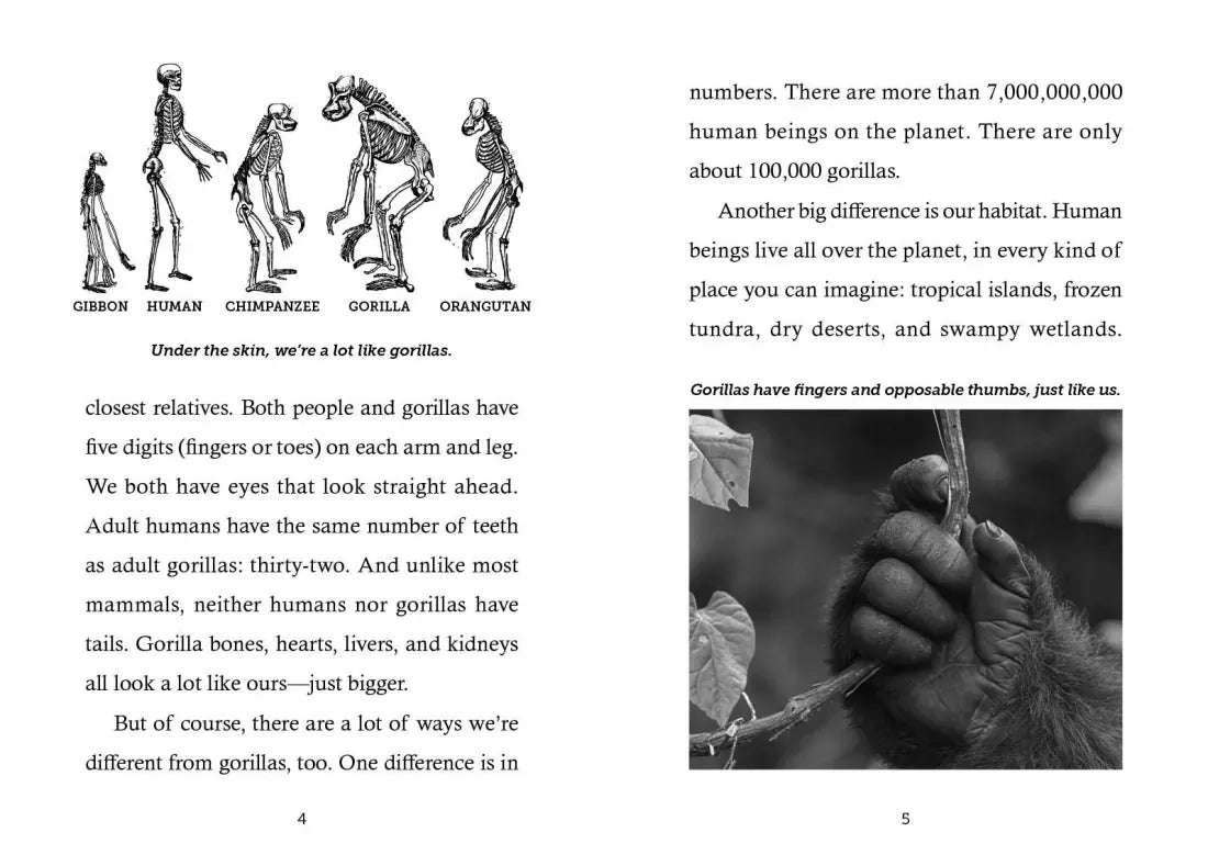 Save the...Gorillas US - Paperback / softback