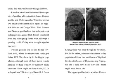 Save the...Gorillas US - Paperback / softback