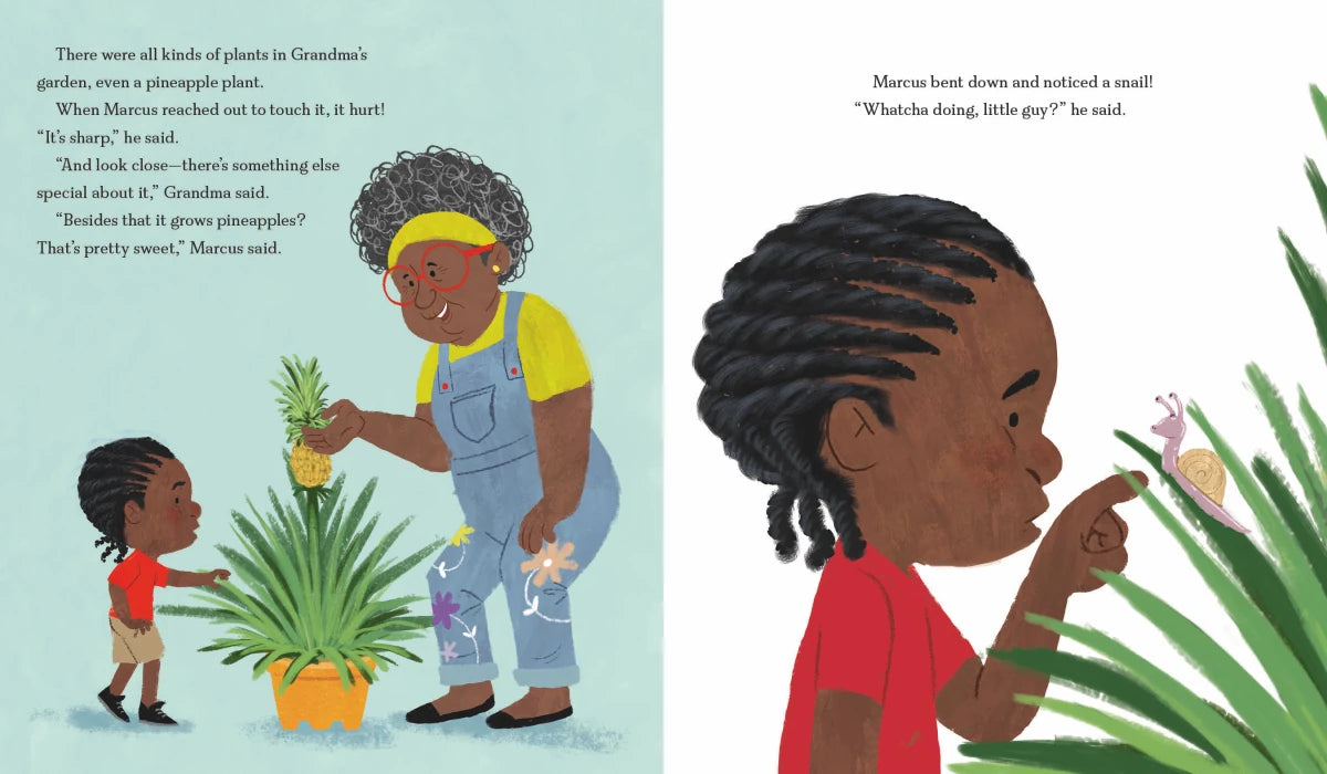 See Marcus Grow US - Hardback