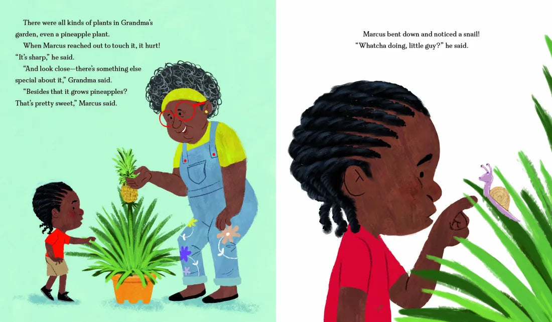 See Marcus Grow US - Hardback