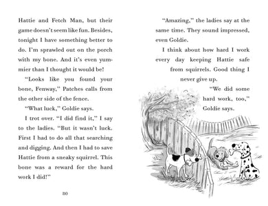 Fenway and the Bone Thieves US - Paperback / softback