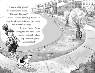 Fenway and The Loudmouth Bird US - Hardback