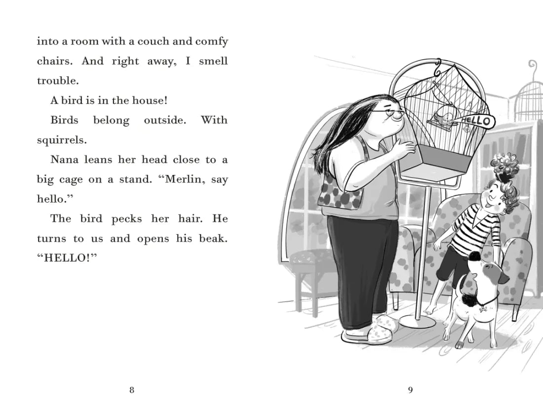 Fenway and The Loudmouth Bird US - Hardback