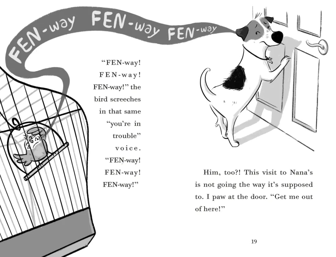 Fenway and The Loudmouth Bird US - Hardback