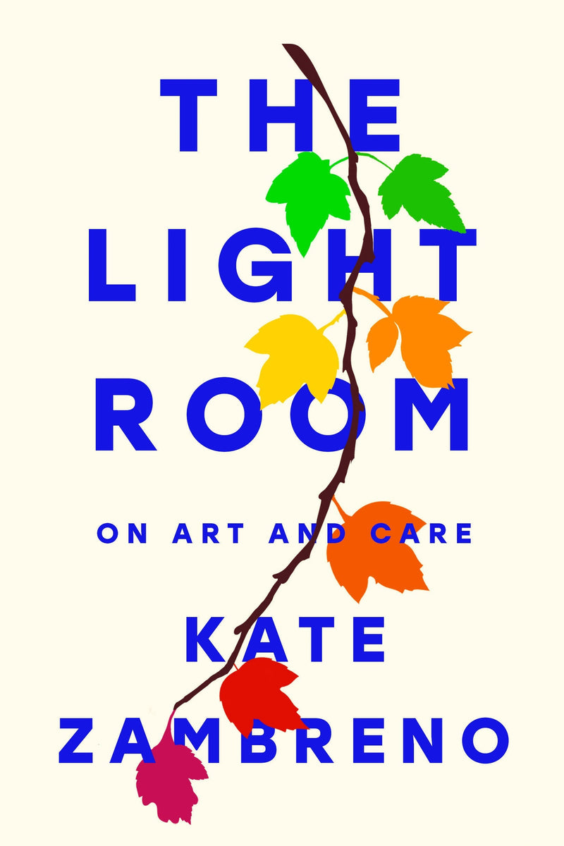 The Light Room-Biography and memoirs-買書書 BuyBookBook