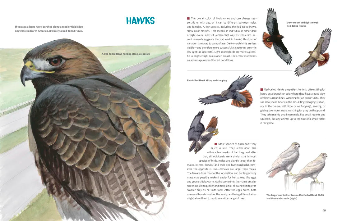 What It's Like to Be a Bird (Adapted for Young Readers) US - Hardback (9780593430187)