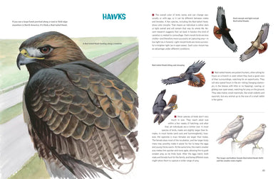 What It's Like to Be a Bird (Adapted for Young Readers) US - Hardback (9780593430187)