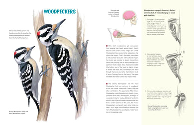What It's Like to Be a Bird (Adapted for Young Readers) US - Hardback (9780593430187)