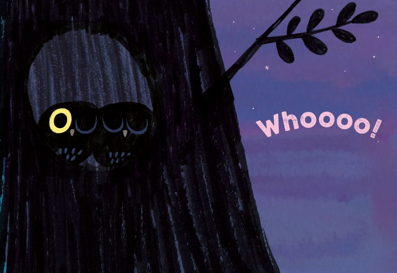 Whooo Is Still Awake? US - Hardback (9780593433546)