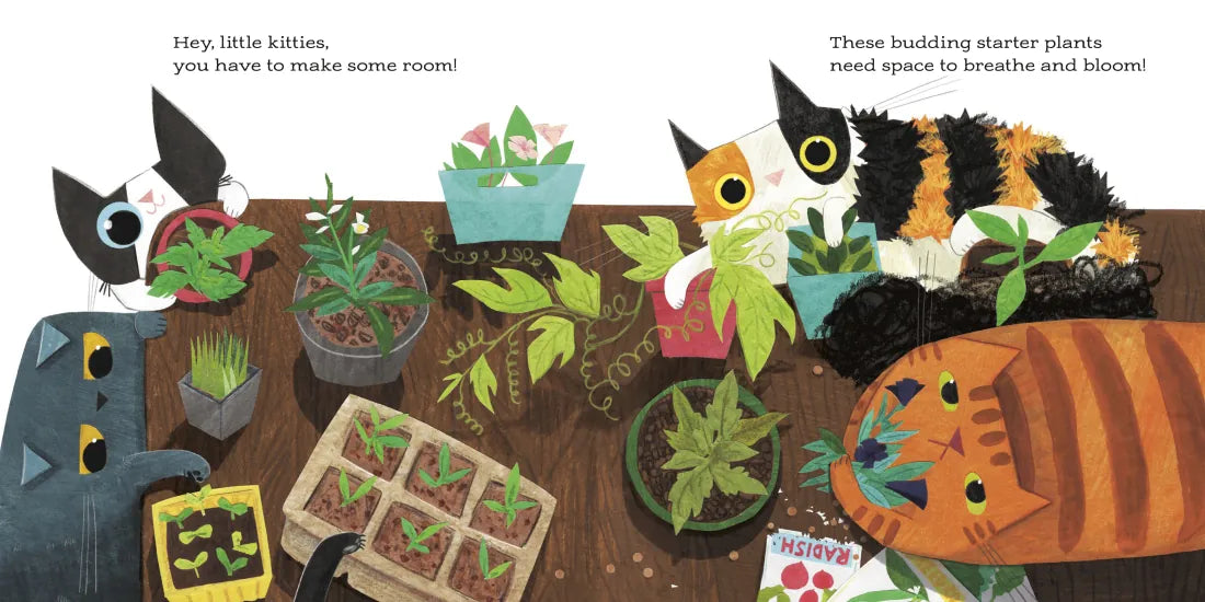 This Little Kitty in the Garden US - Hardback (9780593435175)
