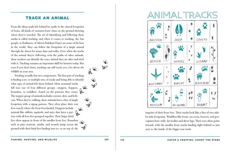 Catch a Crayfish, Count the Stars US - Hardback