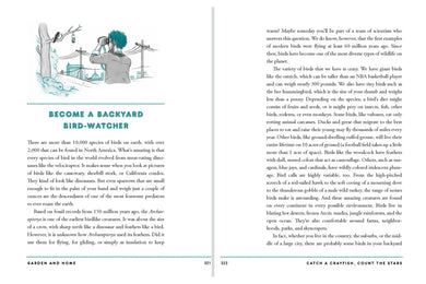 Catch a Crayfish, Count the Stars US - Hardback