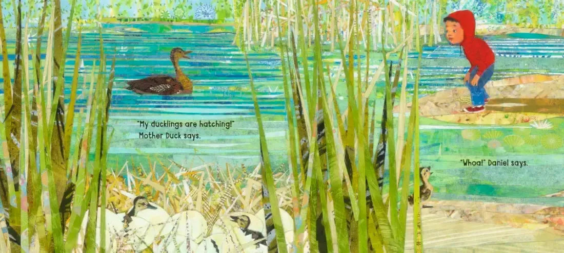 What's New, Daniel? US - Hardback