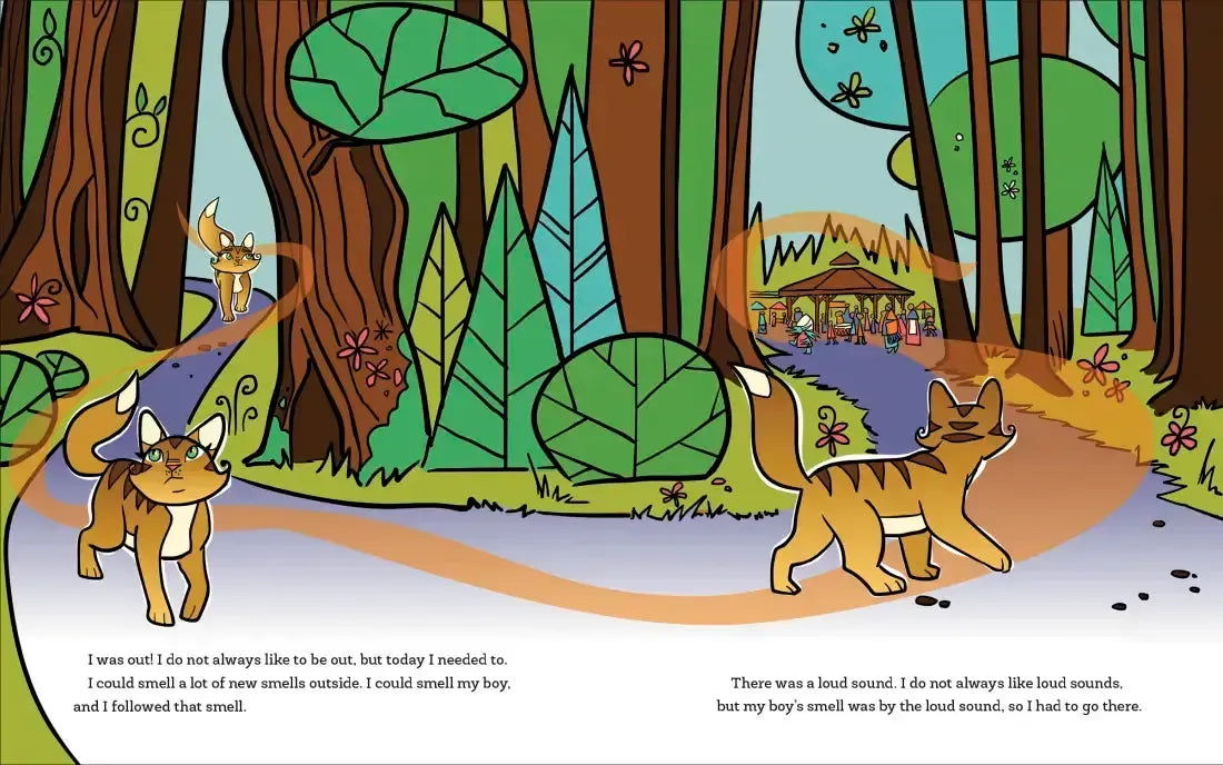 Loaf the Cat Goes To The Powwow US - Hardback