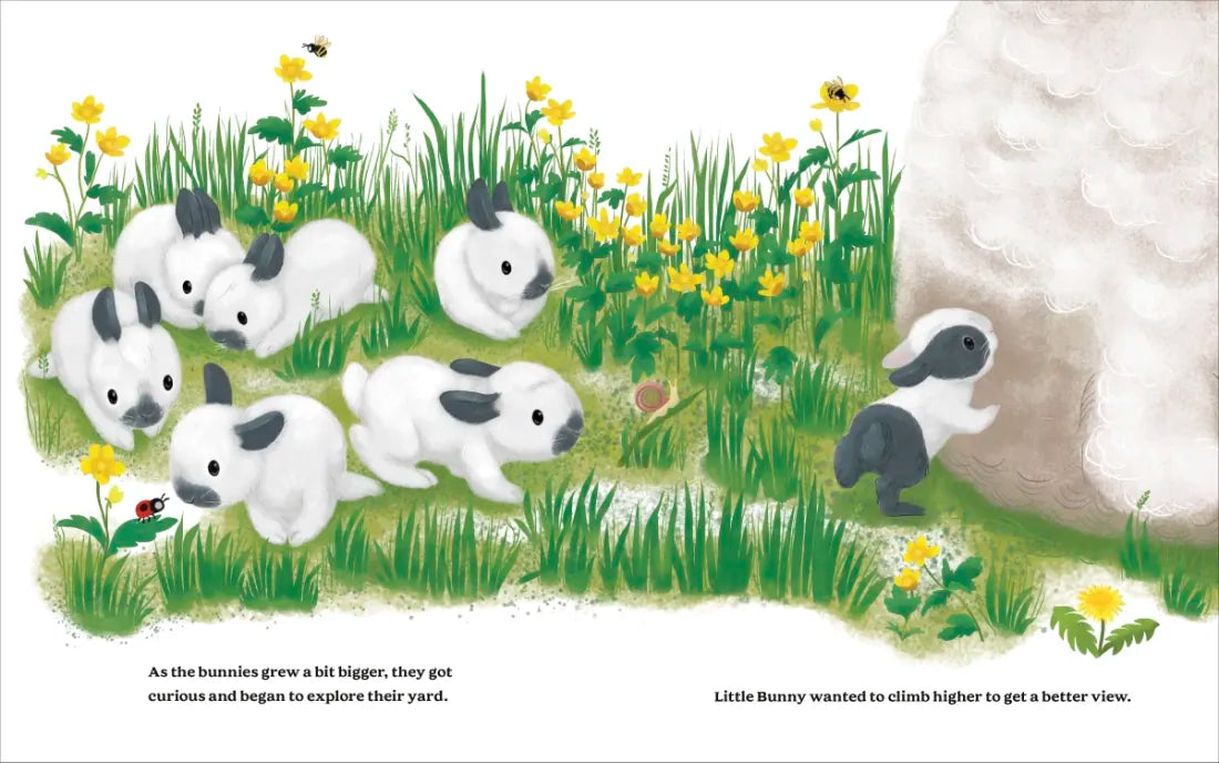 The Cutest Brave Little Bunny US - Hardback