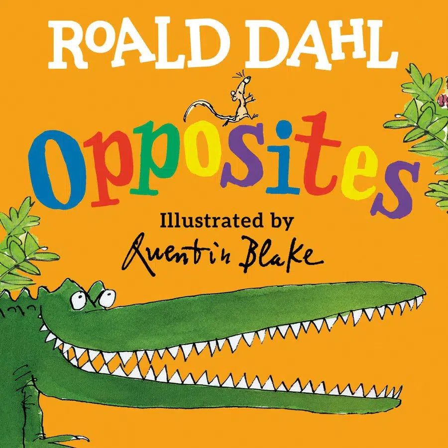 Roald Dahl Opposites-Children’s / Teenage fiction: General and modern fiction-買書書 BuyBookBook