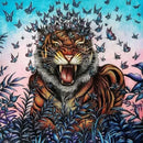 World of Color US - Paperback / softback