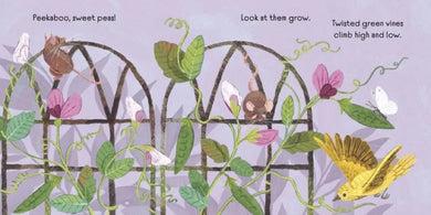 Baby Botanicals: Peekaboo, Flowers! US - Board book